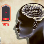 Человек использует 10% мозга
