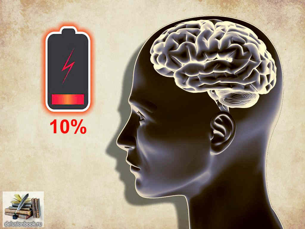 Человек использует 10% мозга